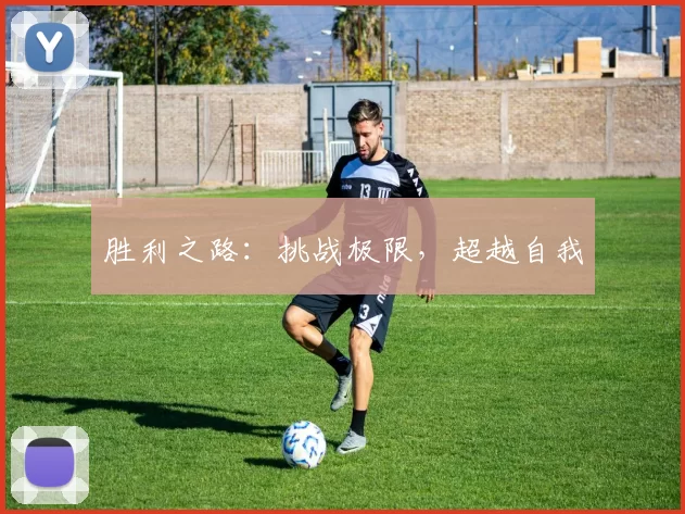 胜利之路：挑战极限，超越自我