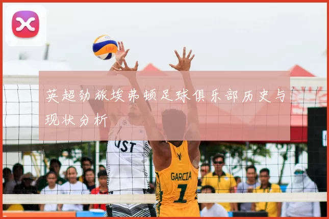 英超劲旅埃弗顿足球俱乐部历史与现状分析