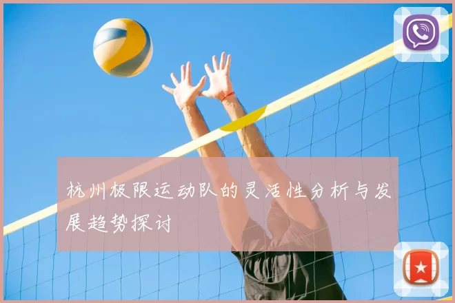 杭州极限运动队的灵活性分析与发展趋势探讨