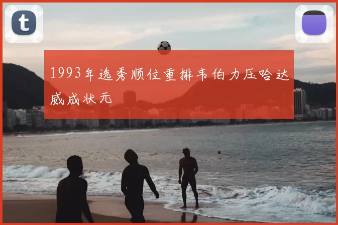 1993年选秀顺位重排韦伯力压哈达威成状元