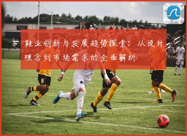 鞋业创新与发展趋势探索：从设计理念到市场需求的全面解析