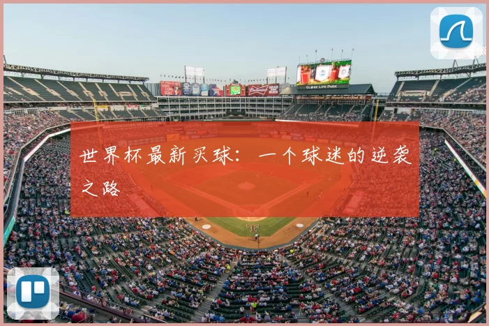 世界杯最新买球：一个球迷的逆袭之路