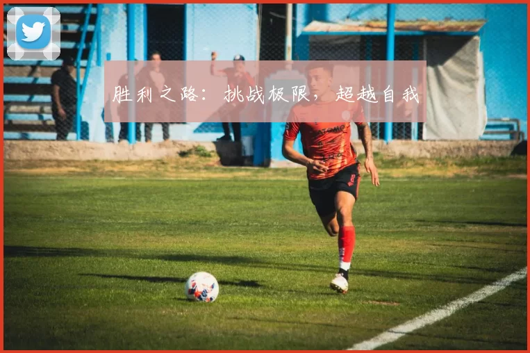 胜利之路：挑战极限，超越自我