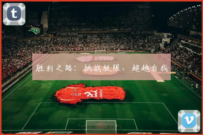 胜利之路：挑战极限，超越自我